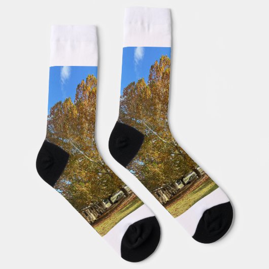 Baum Socken (Rechts)