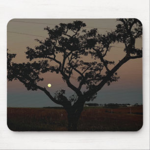 Baum Sonnenuntergang Wand Naturfotografie  Mousepad
