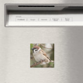 Baum_Sparrow Magnet (In Situ (Geschirrspüler))