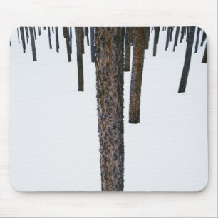 Baum-Stämme im Schnee Mousepad