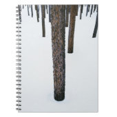 Baum-Stämme im Schnee Notizblock (Vorderseite)