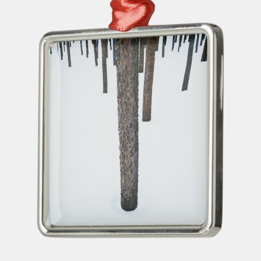 Baum-Stämme im Schnee Ornament Aus Metall (Links)