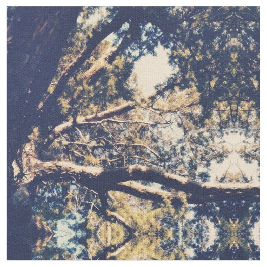 Baum Stoff (Nahaufnahme)