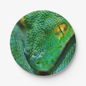 Baum-Szene Pappteller (Vorderseite)