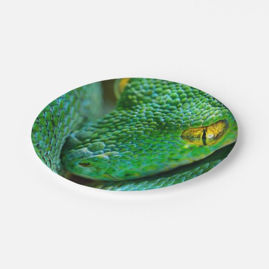 Baum-Szene Pappteller (Schrägansicht)