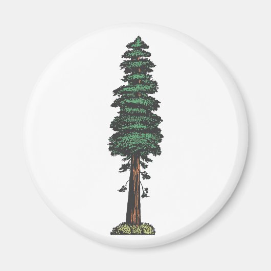 Baum tree sequoia magnet (Vorne)