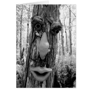 Baum-Troll auf einem Big Cypress-Baum.