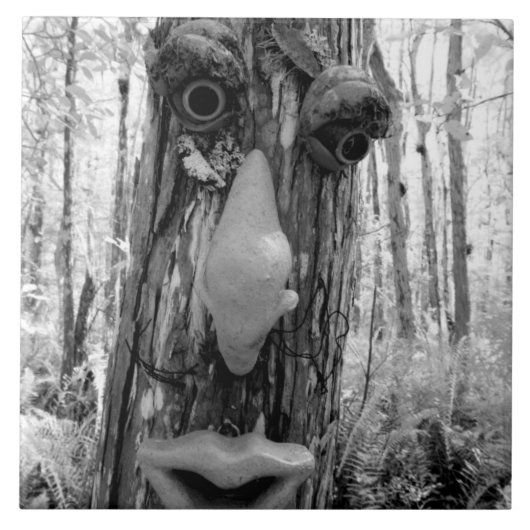 Baum-Troll auf einem Big Cypress-Baum. Fliese (Vorderseite)