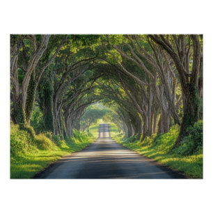 Baum Tunnel Kauai Fotografie Wandkunst Poster