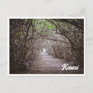 Baum Tunnel Kauai Kaapa Foto Postkarte