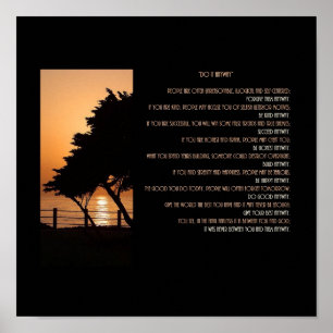 Baum-u. Ozean-Sonnenuntergang tun es irgendwie Poster
