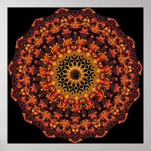 Baum-Überdachungs-Druck Poster