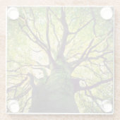 Baum-Umarmen Glasuntersetzer (Rückseite)