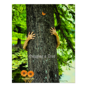 Baum umarmen - Landleben Poster