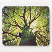 Baum-Umarmen Mousepad (Vorne)