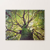 Baum-Umarmen Puzzle (Horizontal)