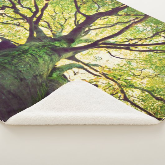 Baum-Umarmen Sherpadecke (3/4)