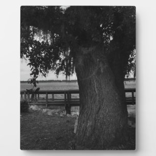 Baum und Dock am Wasser Fotoplatte