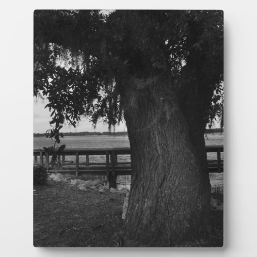 Baum und Dock am Wasser Fotoplatte (Vorderseite)