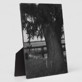 Baum und Dock am Wasser Fotoplatte (Seite)
