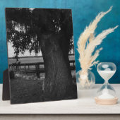 Baum und Dock am Wasser Fotoplatte (Seite)