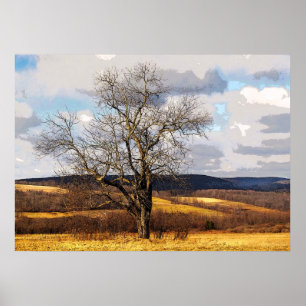 Baum und entfernte Hügel Poster