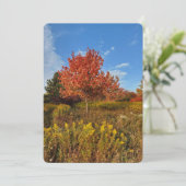 Baum und Herbstfarben in der Parkblankkarte (Stehend Vorderseite)