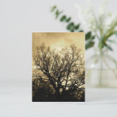 Baum und Himmelsepiel Postkarte (Stehend Vorderseite)