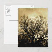 Baum und Himmelsepiel Postkarte (Vorne/Hinten)