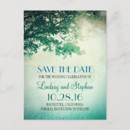 Baum und liebende Vögel rustikal Save the Date Vin Ankündigungspostkarte