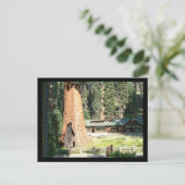 Baum und Museum Postkarte (Stehend Vorderseite)