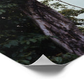 Baum und Reben im Dschungel Poster (Ecke)