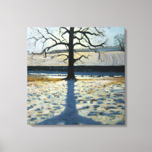 Baum und Schatten Calke Abtei Derbyshire Leinwanddruck