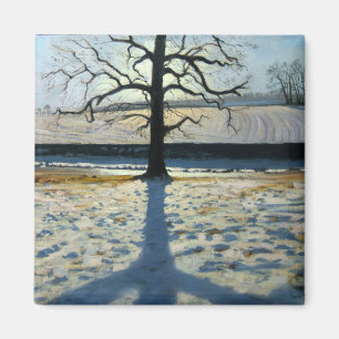 Baum und Schatten Calke Abtei Derbyshire Magnet