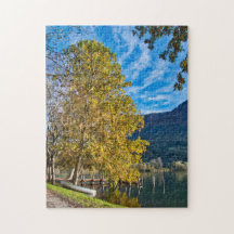 Baum und Schiff am See fallen Landschaft