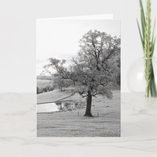 Baum und Teich Feiertagskarte (Vorderseite)