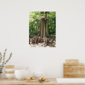 Baum und Wurzeln Poster (Küche)