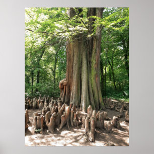 Baum und Wurzeln Poster