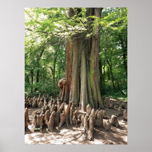 Baum und Wurzeln Poster (Vorne)