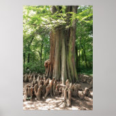 Baum und Wurzeln Poster (Vorne)