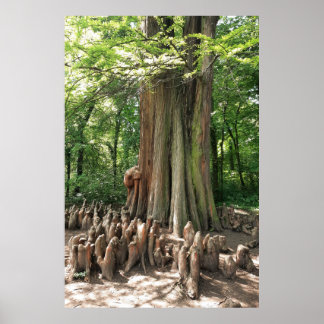 Baum und Wurzeln Poster