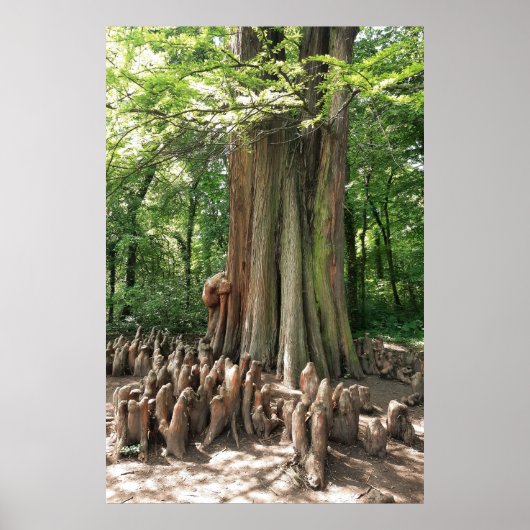 Baum und Wurzeln Poster (Vorne)