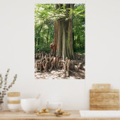 Baum und Wurzeln Poster (Küche)