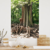 Baum und Wurzeln Poster (Küche)