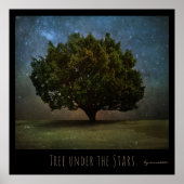 Baum unter den Sternen Poster (Vorne)