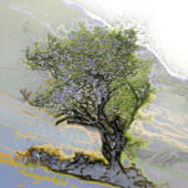 BAUM VISITENKARTE