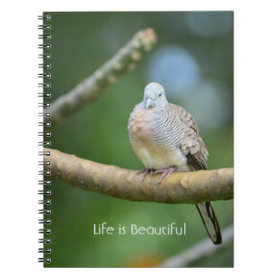 Baum Vogel Kauai (meine Fotografie) Notizblock