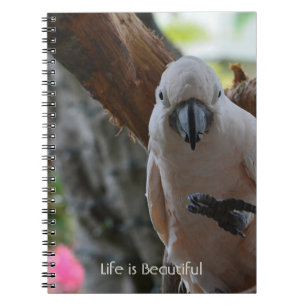 Baum Vogel Kauai (meine Fotografie) Notizblock