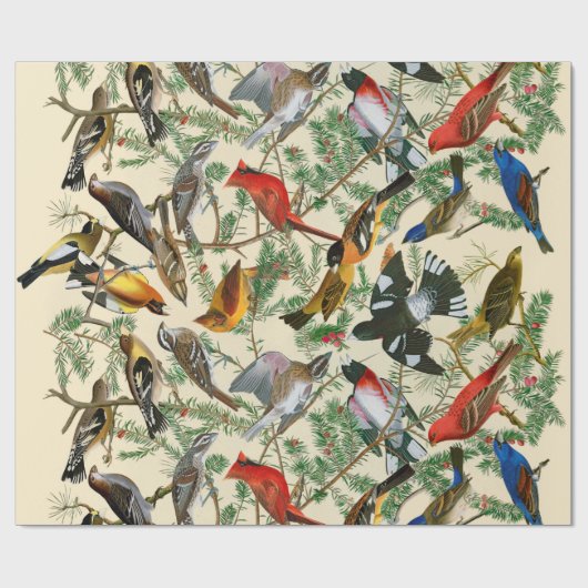 "Baum von Grosbeak" (Vögel) giftwrap Geschenkpapier (Flach)