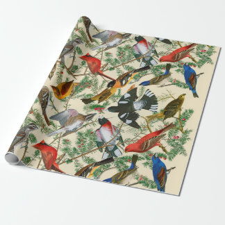 "Baum von Grosbeak" (Vögel) giftwrap Geschenkpapier